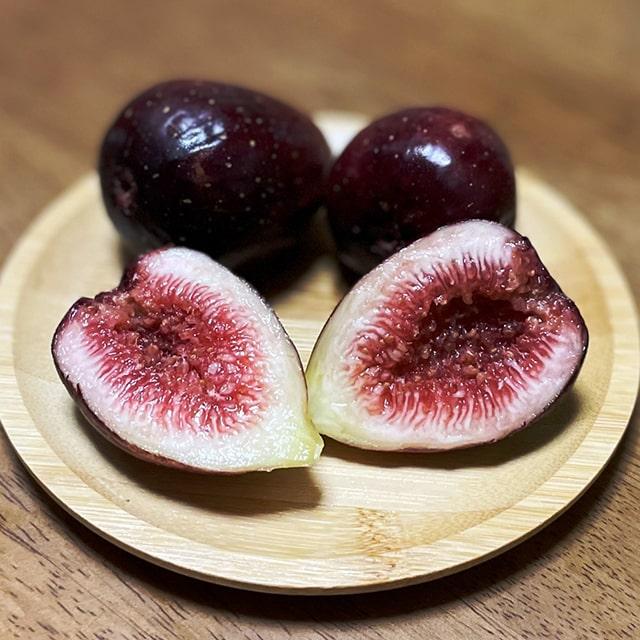 イチジク 苗 【ブラックミッション】 1年生 挿し木 ポット苗 : 苗木の