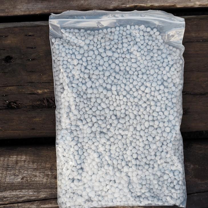 バナナ 苗 鉢色が選べる 矮性バナナ ドワーフ モンキーバナナ鉢植え 大株苗 フレグラー30型鉢植え 受け皿 化成肥料2kg付き Tn02 001nset 02 苗木の専門店 グリーンでgo 通販 Yahoo ショッピング