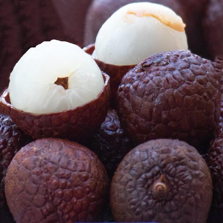 ライチ 苗 ライチ 黒葉 取り木苗 Tn02 084n999 01 苗木の専門店 グリーンでgo 通販 Yahoo ショッピング