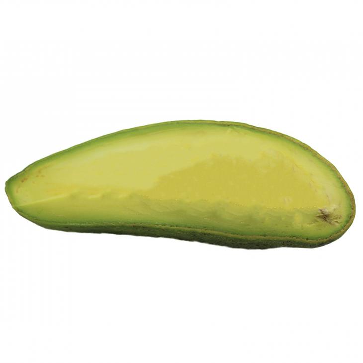 アボカド 苗 ホアンホセ 接ぎ木苗 Tn02 090t001 01 苗木の専門店 グリーンでgo 通販 Yahoo ショッピング