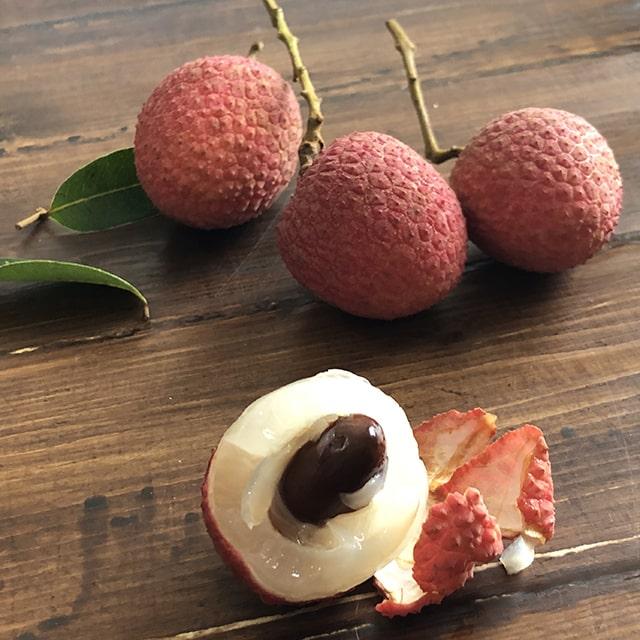 ライチ 苗 【島津（しまづ）】大株苗 : 苗木の専門店 グリーンでGO