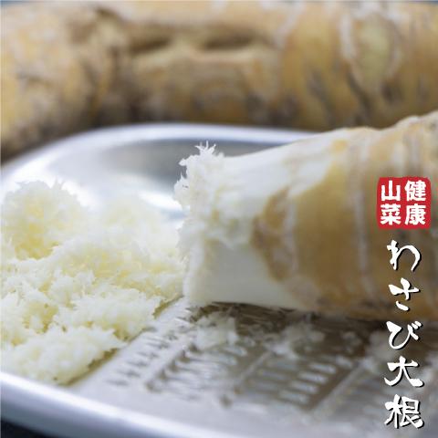 ワサビ 苗 【山菜 わさび大根】 4号ポット苗 : 苗木の専門店 グリーン