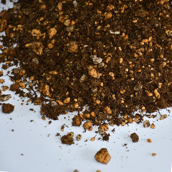 培養土 Soil99エイド さつき ツツジの培養土 14リットル入り Tn11 005n14l 01 苗木の専門店 グリーンでgo 通販 Yahoo ショッピング