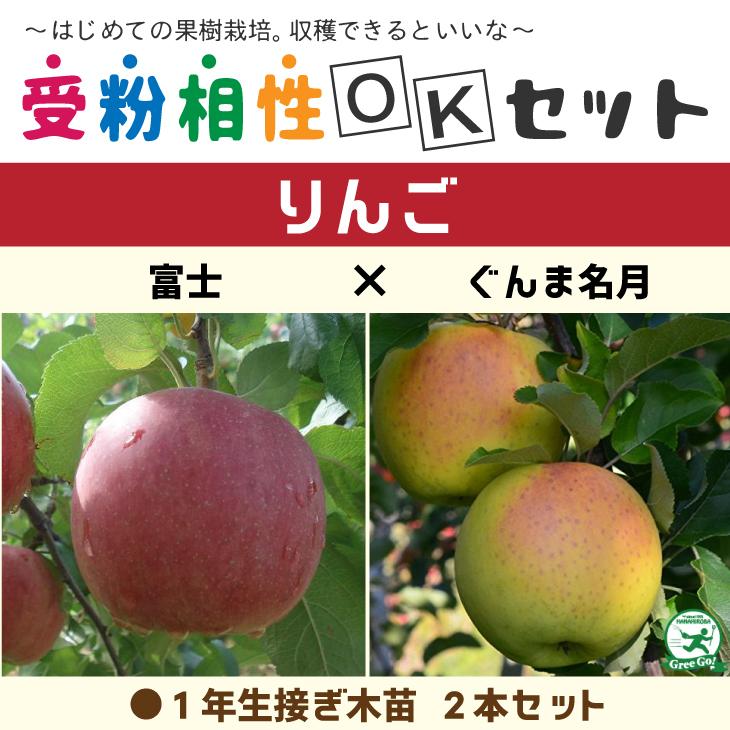 ◇送料無料◇ りんご 苗木 【りんご2品種セット 富士 × ぐんま名月】 1
