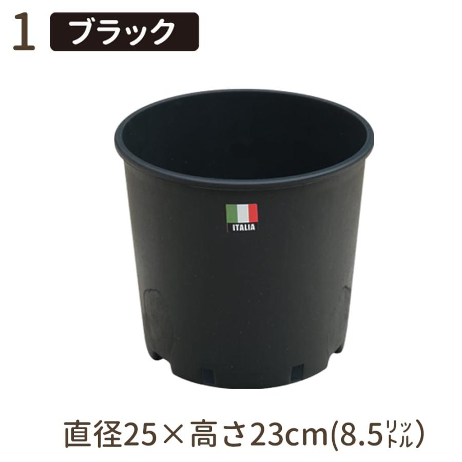 ナーセリーポット 直径25cm x 高さ23cm 8.5L ブラック : 苗木部 花