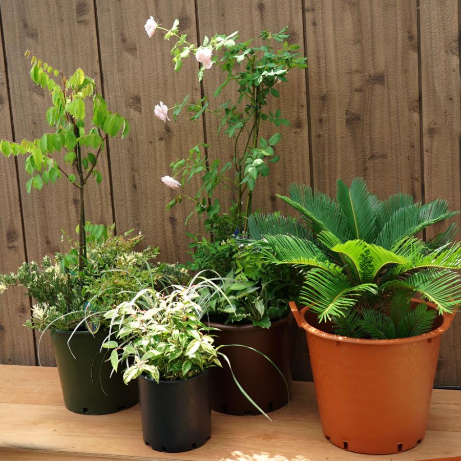 園芸 インテリア 個入り 30 Konton Bn 2k030 P279 オフィスビル ナーセリーポット ハンドルなし ブラック ホテル ポット 代引き不可 花 観葉植物用 見事な創造力 ポット