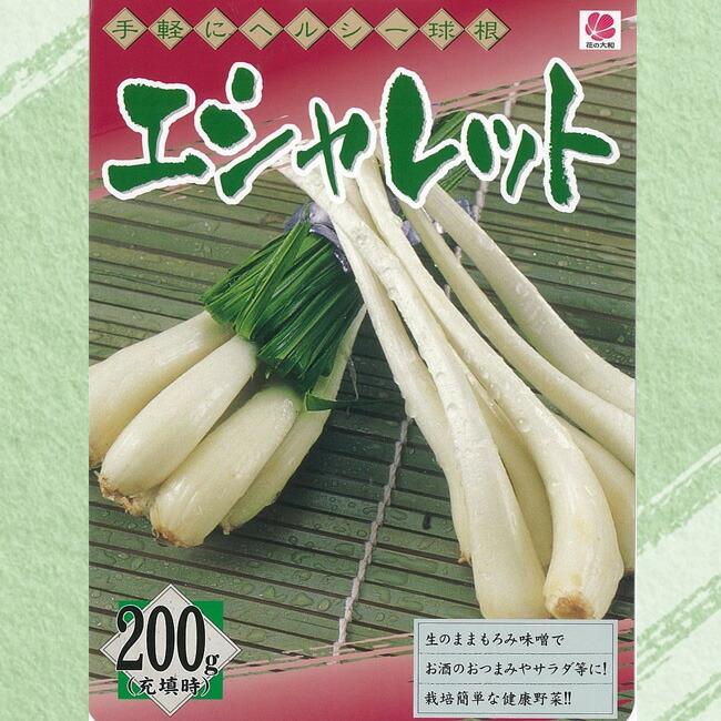 エシャレット 球根 0g 国産 茨城県 植え付け時期7月下旬 9月下旬まで Esharotto 001 苗木部 花ひろばオンライン 通販 Yahoo ショッピング
