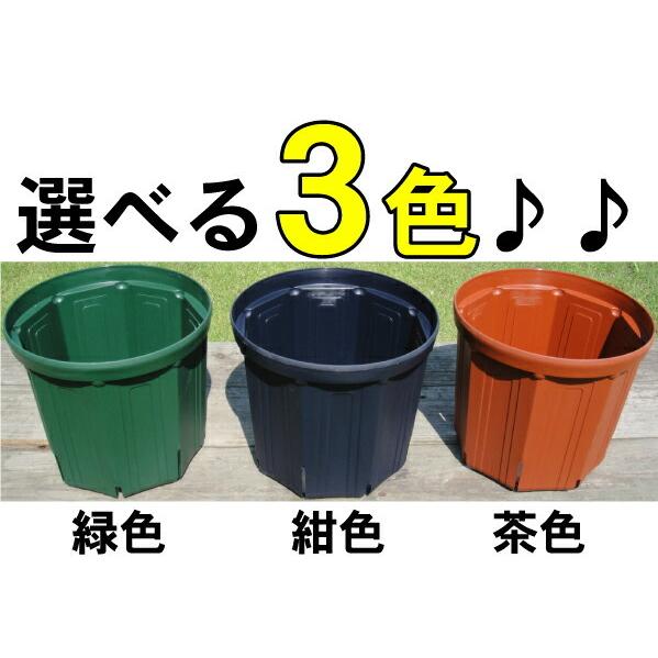 上品 苗木部 花ひろばオンライン苗木部スリット鉢 12号 Redoriente Net