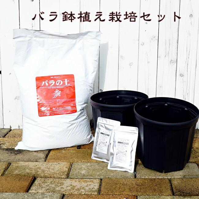 初心者向け バラ鉢植え栽培セット Hachi Suritto Saibai Bara G 1 苗木部 花ひろばオンライン 通販 Yahoo ショッピング