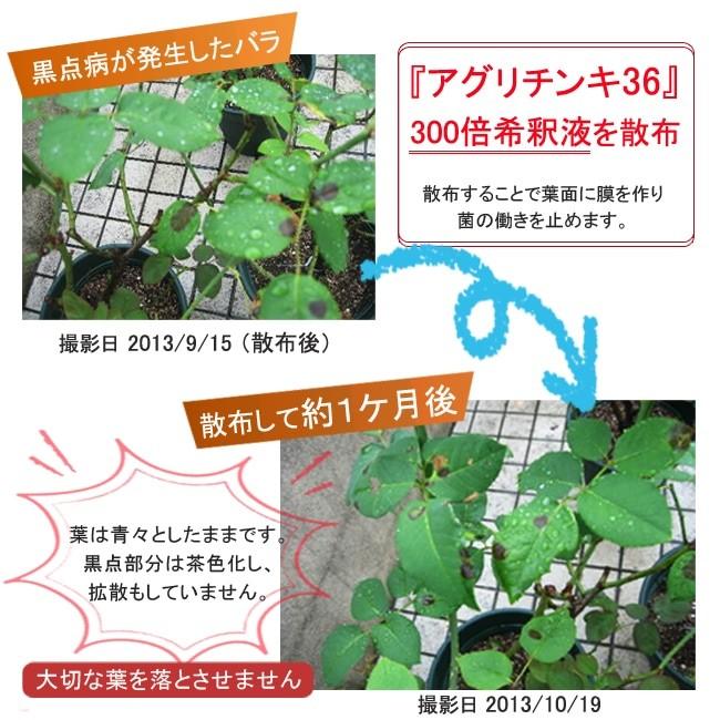 アグリチンキ36 0ml 天然原料100 植物活性エキス 植物活性剤 Hiryou Aguritinki36 苗木部 花ひろばオンライン 通販 Yahoo ショッピング