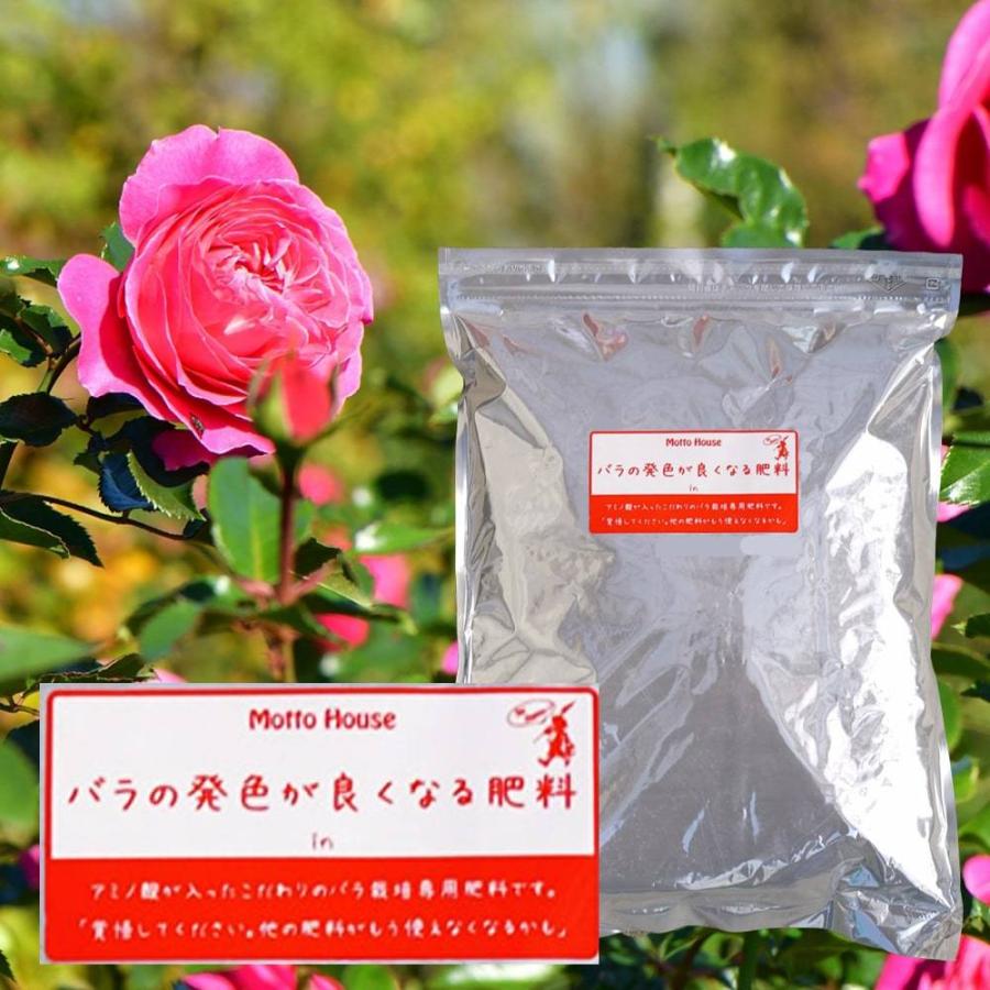 バラの肥料 バラの発色が良くなる肥料 1 5kｇ バイオプラチナム バラ 肥料 ひりょう 化成肥料 Hiryou Asuka 苗木部 花ひろばオンライン 通販 Yahoo ショッピング