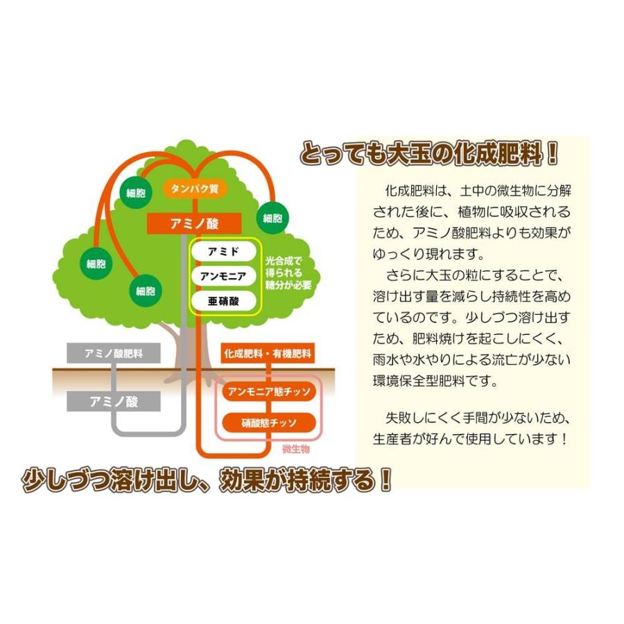 花ひろば Ib肥料 元気玉 2kg バラ 果樹 庭木の肥料 化成肥料 Hiryou Bara550 苗木部 花ひろばオンライン 通販 Yahoo ショッピング