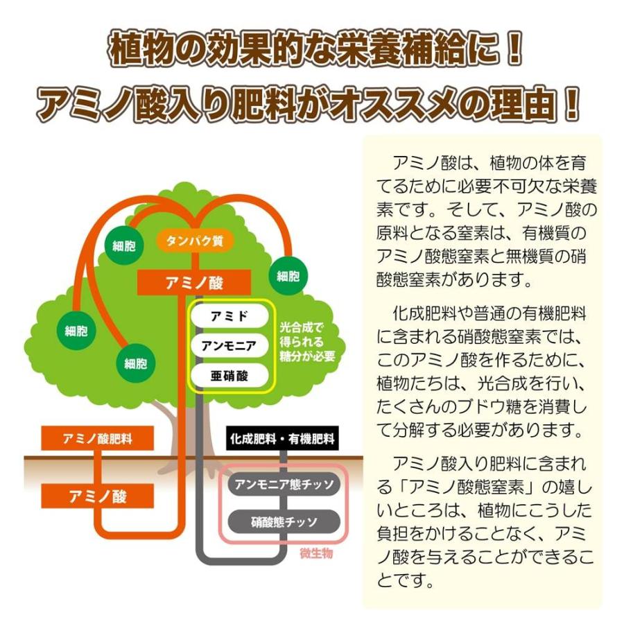 果樹と野菜の有機肥料ex アミノ酸入り有機肥料 果樹の肥料 野菜の肥料 果樹 肥料 ひりょう 有機肥料 Hiryou Kaju Ex 苗木部 花ひろばオンライン 通販 Yahoo ショッピング