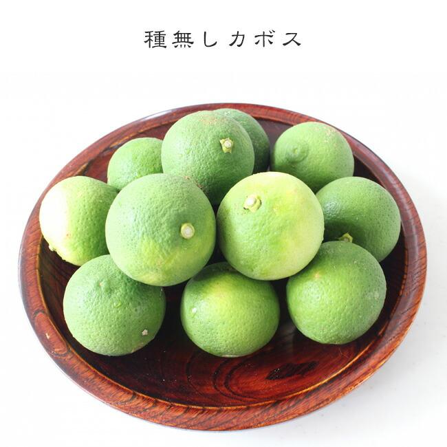 種なしカボス 3年生接木大苗 産地で剪定済 1.0m苗 爆買いweek : 苗木部