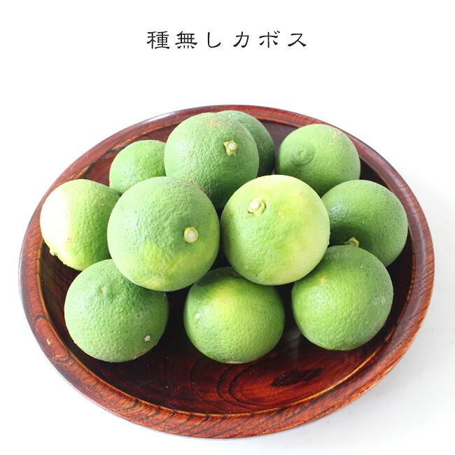 種なしカボス 3年生接木大苗 産地で剪定済 1.0m苗 予約販売10〜11月頃