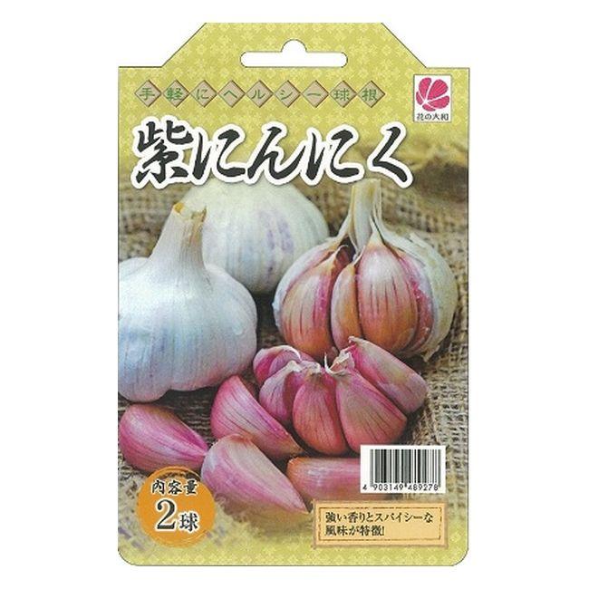 球根 にんにく 紫にんにく 2球 植え付け時期11月上旬 Ninniku Murasaki 001 苗木部 花ひろばオンライン 通販 Yahoo ショッピング