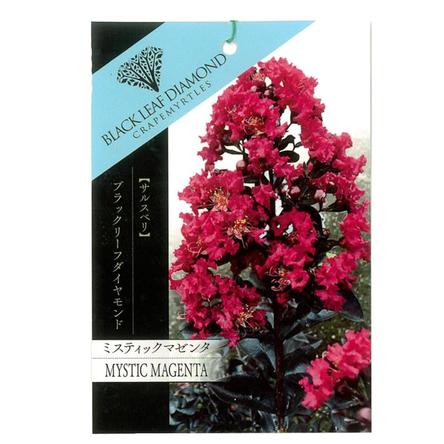 ピンカートンズ・カラーズ PINKERTON'S COLOURS / 魔法の木馬 ピンカートンズ・カラーズ PINKERTON'S COLOURS / 魔法の木馬