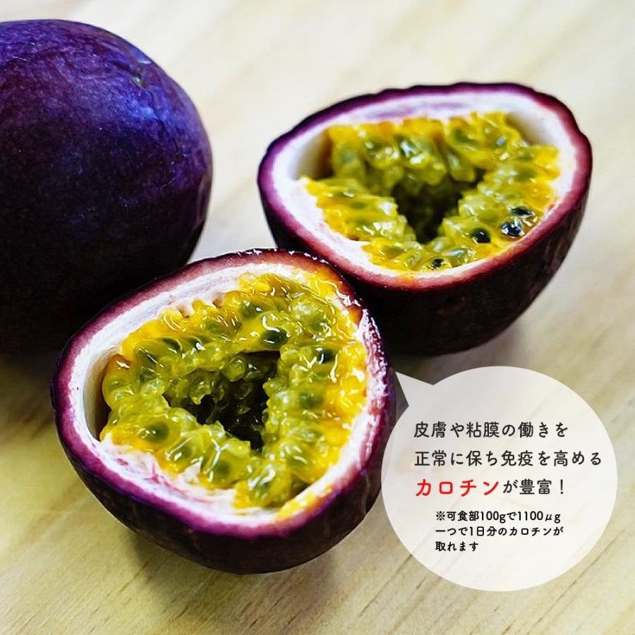 パッションフルーツ パープル 3.5号 ポット苗 沖縄県産 : 苗木部 花