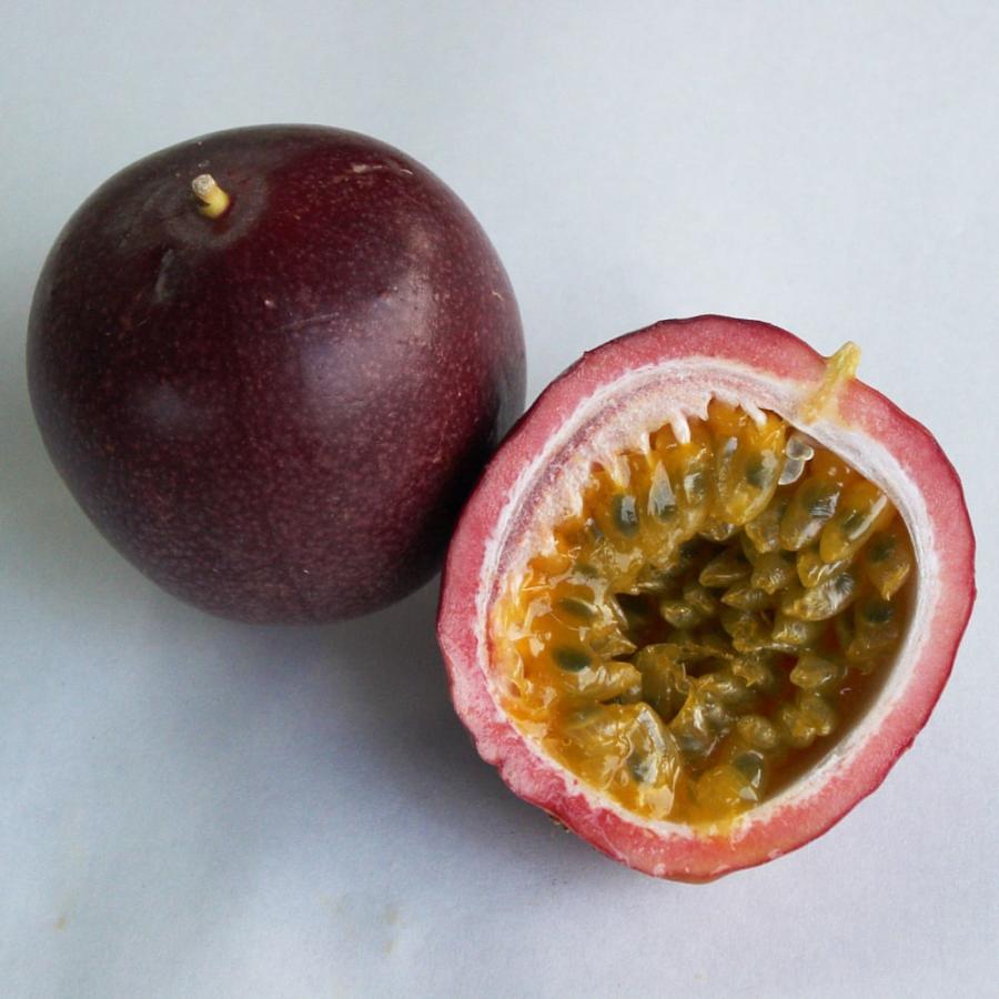 パッションフルーツ サニーシャイン 3.5号 ポット苗 沖縄県産 登録品種