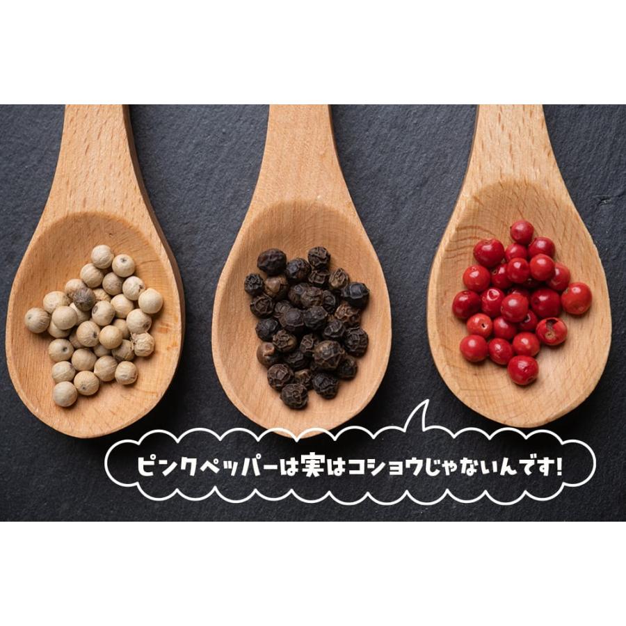ペッパーツリー （ピンクペッパー）4号 実生ポット苗 爆買いweek