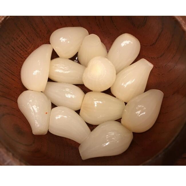 らっきょう 球根 200g 国産（鳥取県産） （植え付け時期7月下旬〜9月