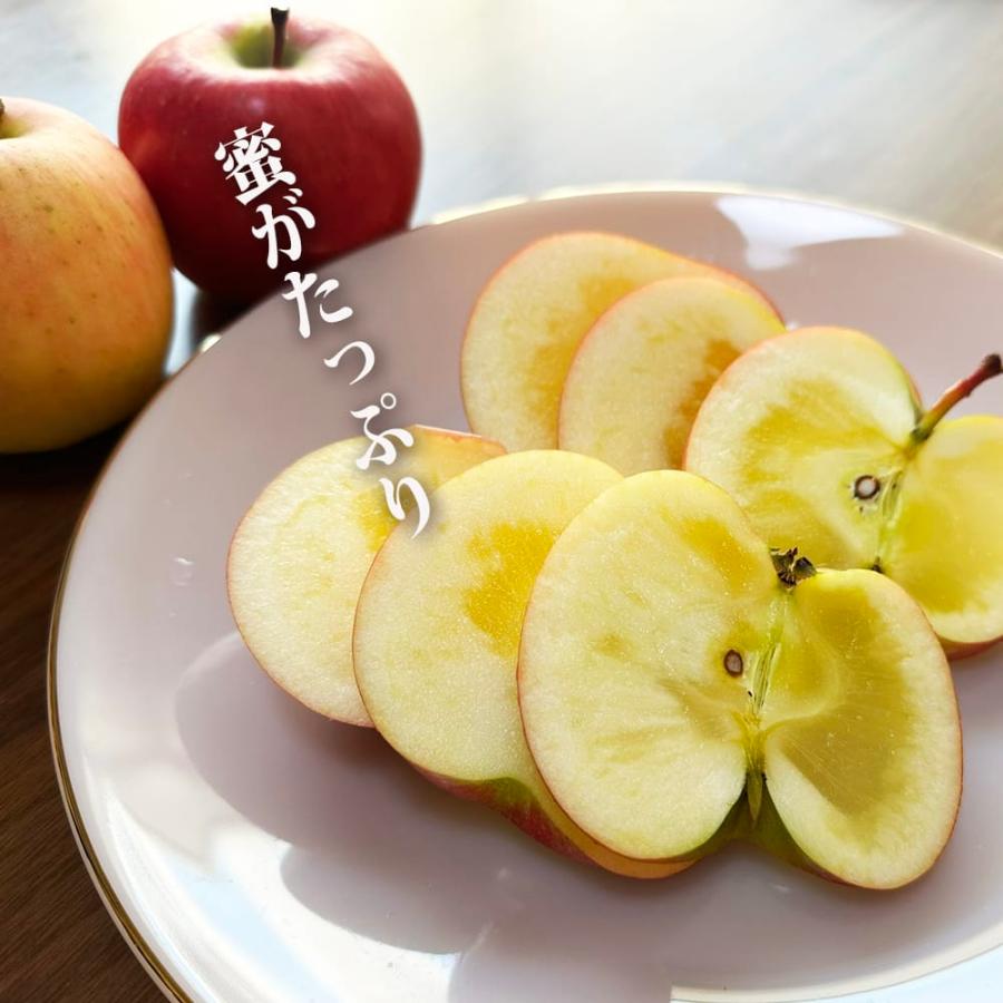 蜜入りりんごの苗木 ハニーアップル 2年生接木苗 スリット鉢植え 限定