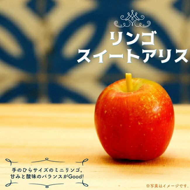 姫りんご 苗木 スイートアリス 1年生接木苗 : 苗木部 花ひろば