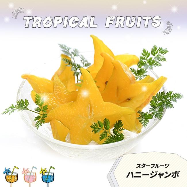 大実スターフルーツ ハニージャンボ 接木大苗 : 苗木部 花ひろば