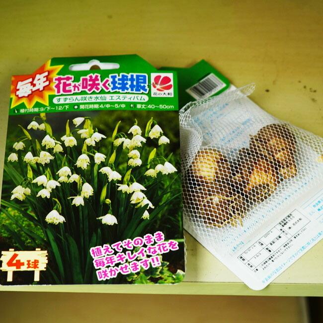 すずらん咲き水仙 スノーフレーク 球根 4球入 植え付け時期9月下旬 12月下旬 Suisen Suzuran 01 苗木部 花ひろばオンライン 通販 Yahoo ショッピング