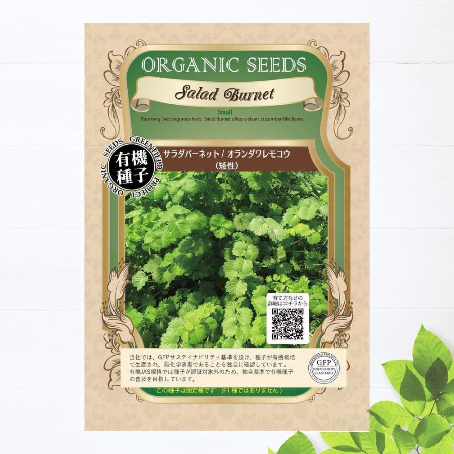 有機種子 サラダバーネット オランダワレモコウ 矮性 ｌサイズ 50ｍｌ 種蒔時期 3 5月 9 10月 Tane Saladburnet003 苗木部 花ひろばオンライン 通販 Yahoo ショッピング