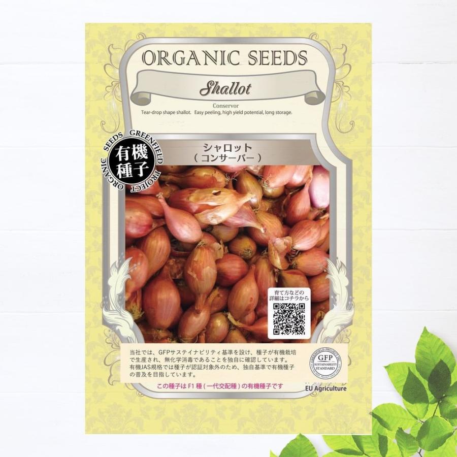 有機種子 シャロット 種 (ベルギーエシャロット、コンサーバー) S