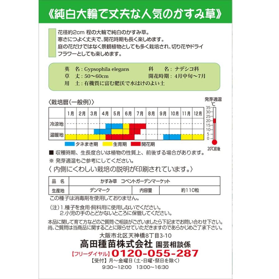かすみ草 コペントガーデンマーケット 約110粒 （種蒔時期 9月下旬〜10