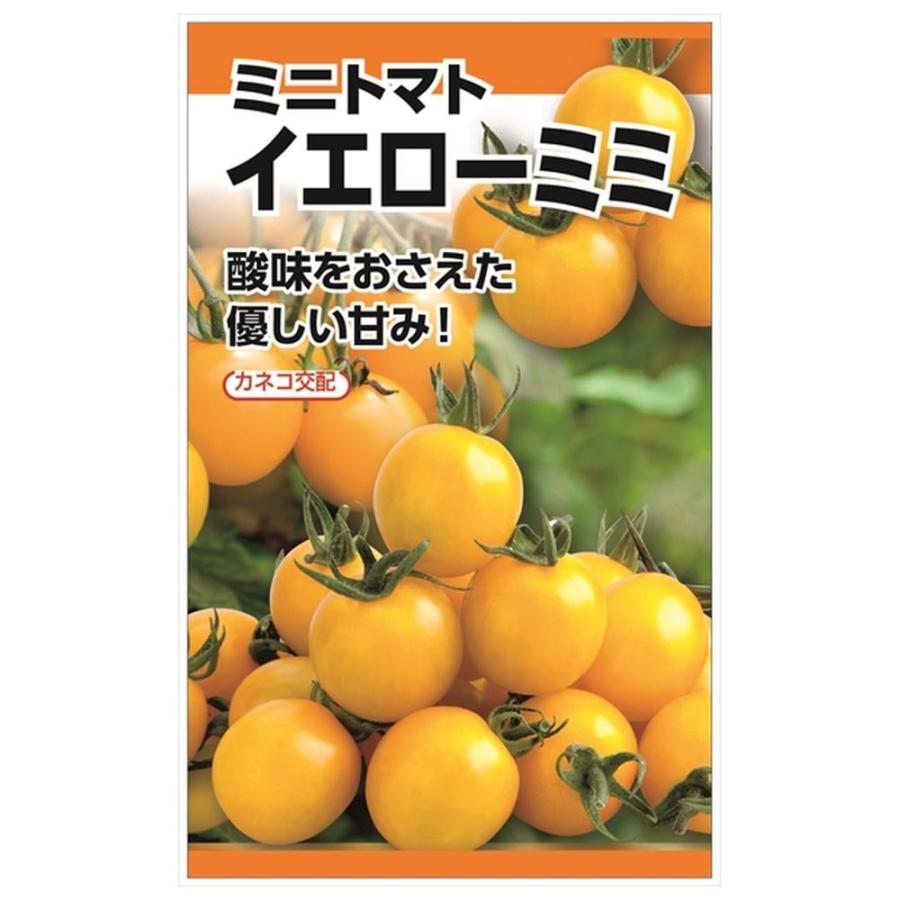 トマト イエローミミ 種・小袋 （0.1ml） F1（一代交配種） 爆買いweek