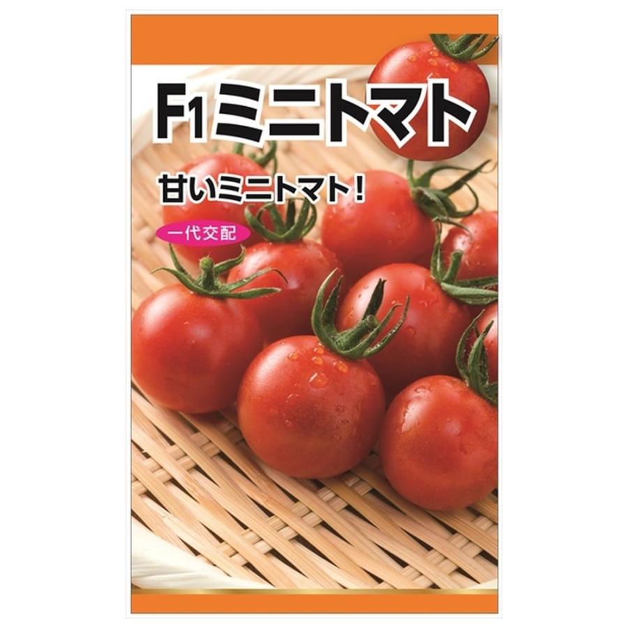 トマト F1ミニトマト 種・小袋 （0.4ml） 爆買いweek : 苗木部 花
