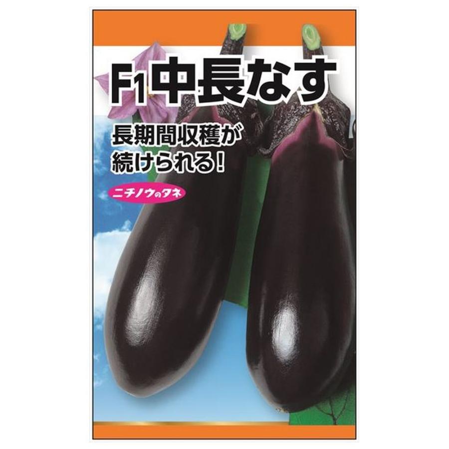 なす出品 なす F1中長なす 種・小袋 （2ml） 爆買いweek : 苗木部 花ひろば