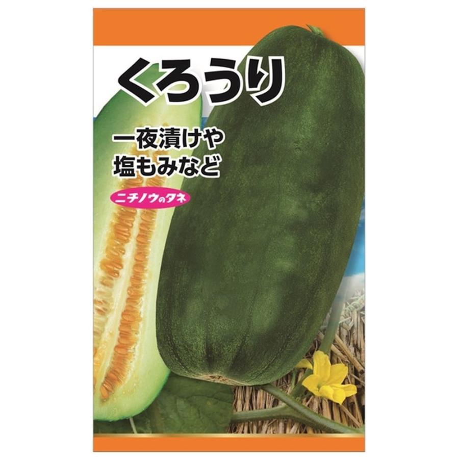 つけうり 黒うり 種・小袋 （1.5ml） 固定種 : 苗木部 花ひろば