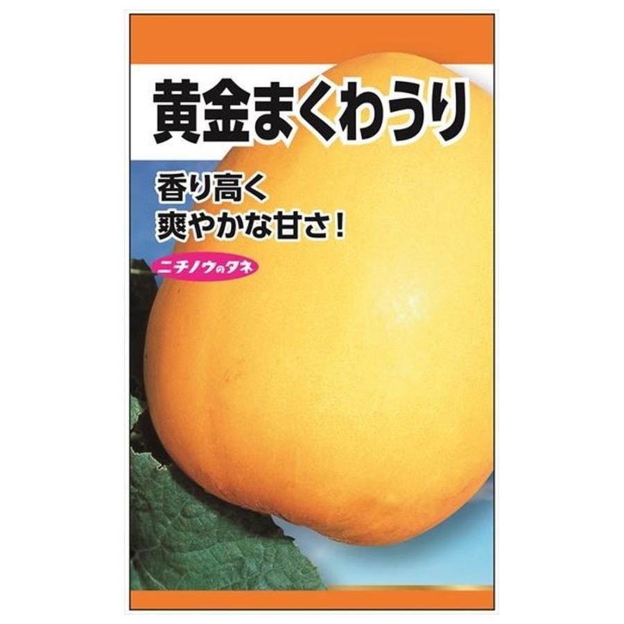 韓国産 マクワウリ 黄金メロン 5キロクール便 メロン 黄金まくわうり 種・小袋 （2ml） 固定種 : 苗木部 花ひろば