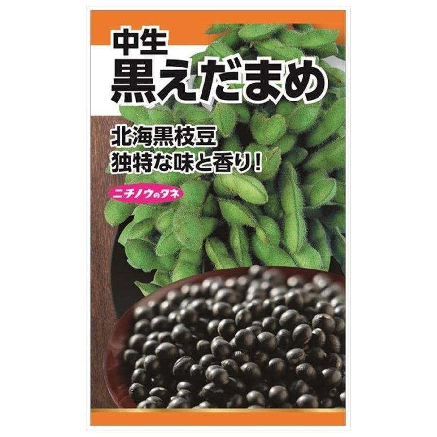 枝豆 黒えだまめ（中生） 種・小袋 （20ml） 固定種 : 苗木部 花
