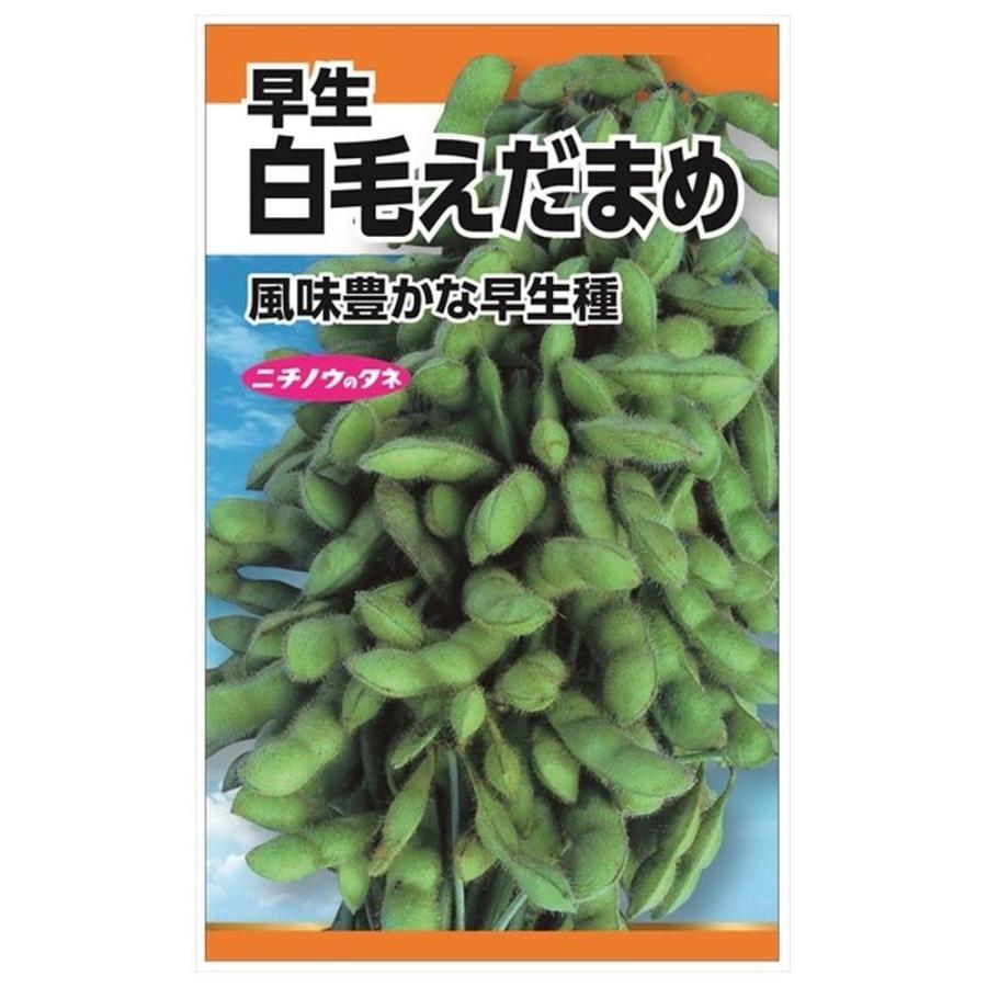 枝豆 白毛えだまめ(早生) 種・小袋 （20ml） 固定種 : 苗木部