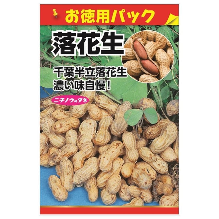 落花生 （お徳用パック） 種・小袋 （25粒） 固定種 爆買いweek : 苗木