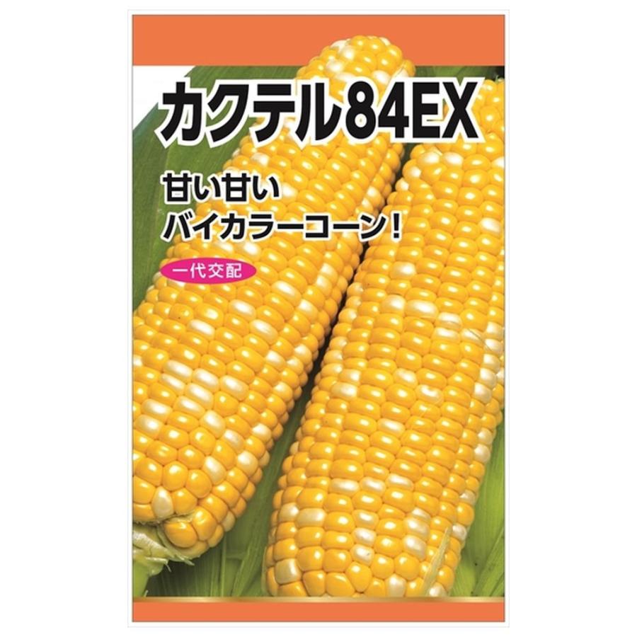 スイートコーン カクテル84EX 種・小袋 （30粒） F1（一代交配種） 爆