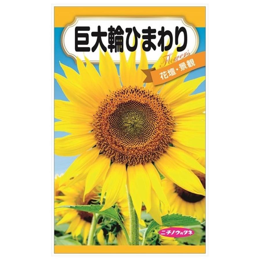 巨大輪ひまわり 種・小袋 （8ml） 固定種 : 苗木部 花ひろばオンライン
