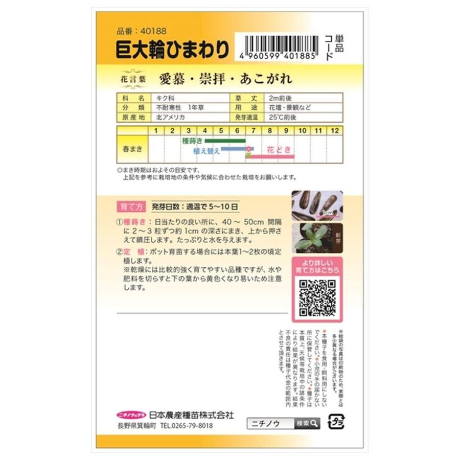 巨大輪ひまわり 種・小袋 （8ml） 固定種 爆買いweek : 苗木部 花