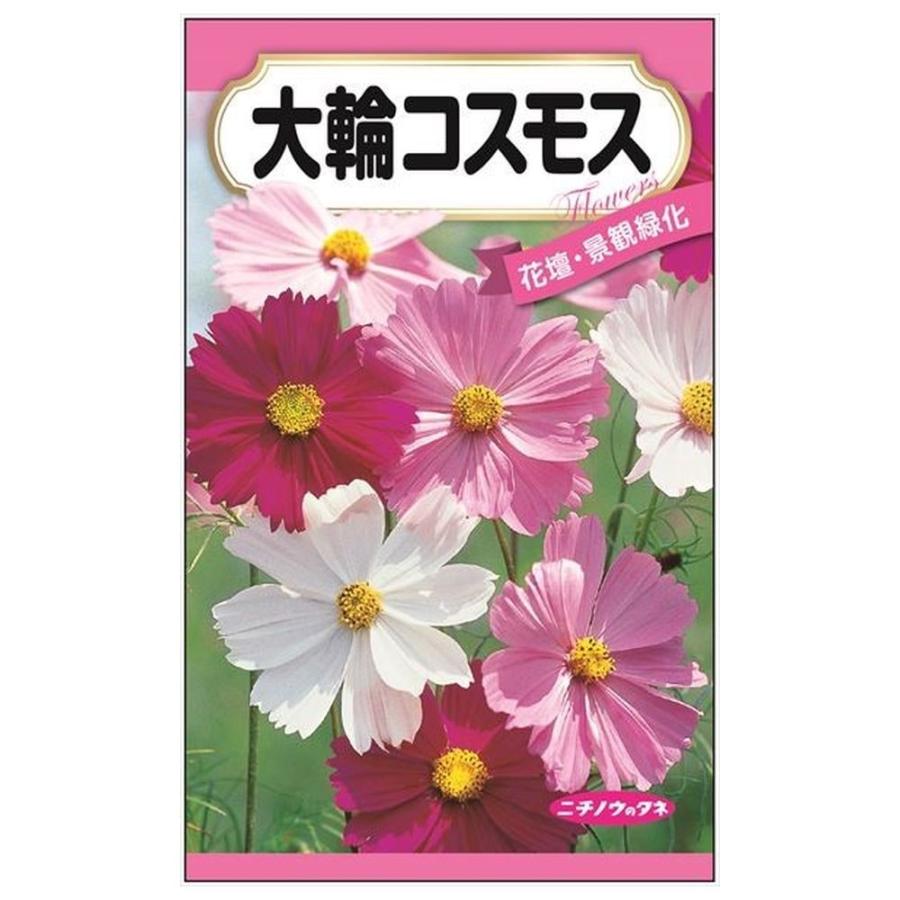 大輪コスモス 種・小袋 （1.5ml） 固定種 : 苗木部 花ひろばオンライン