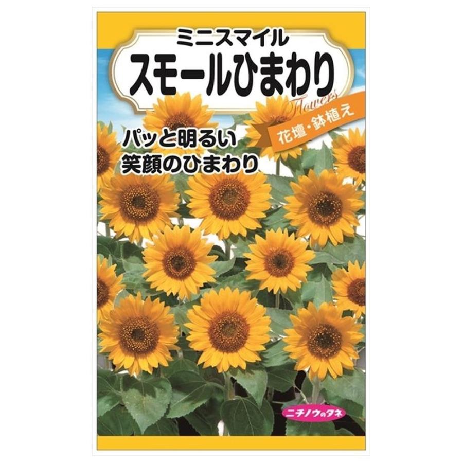 ひまわりお取引 スモールひまわり（ミニスマイル） 種・小袋 （1ml） F1（一代交配種
