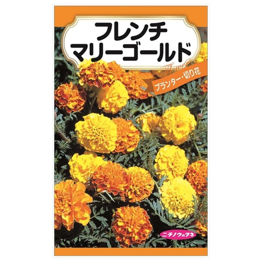 フレンチマリーゴールド 種・小袋 （0.2g） 固定種 爆買いweek : 苗木