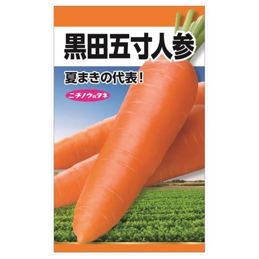 にんじん 黒田五寸人参 種・小袋 （8ml） 固定種 爆買いweek : 苗木部