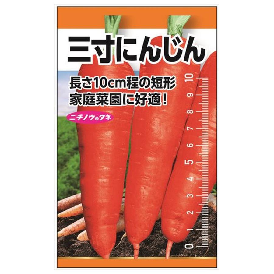 にんじん にんじん 三寸にんじん 種・小袋 （6ml） 固定種 爆買いweek : 苗木部