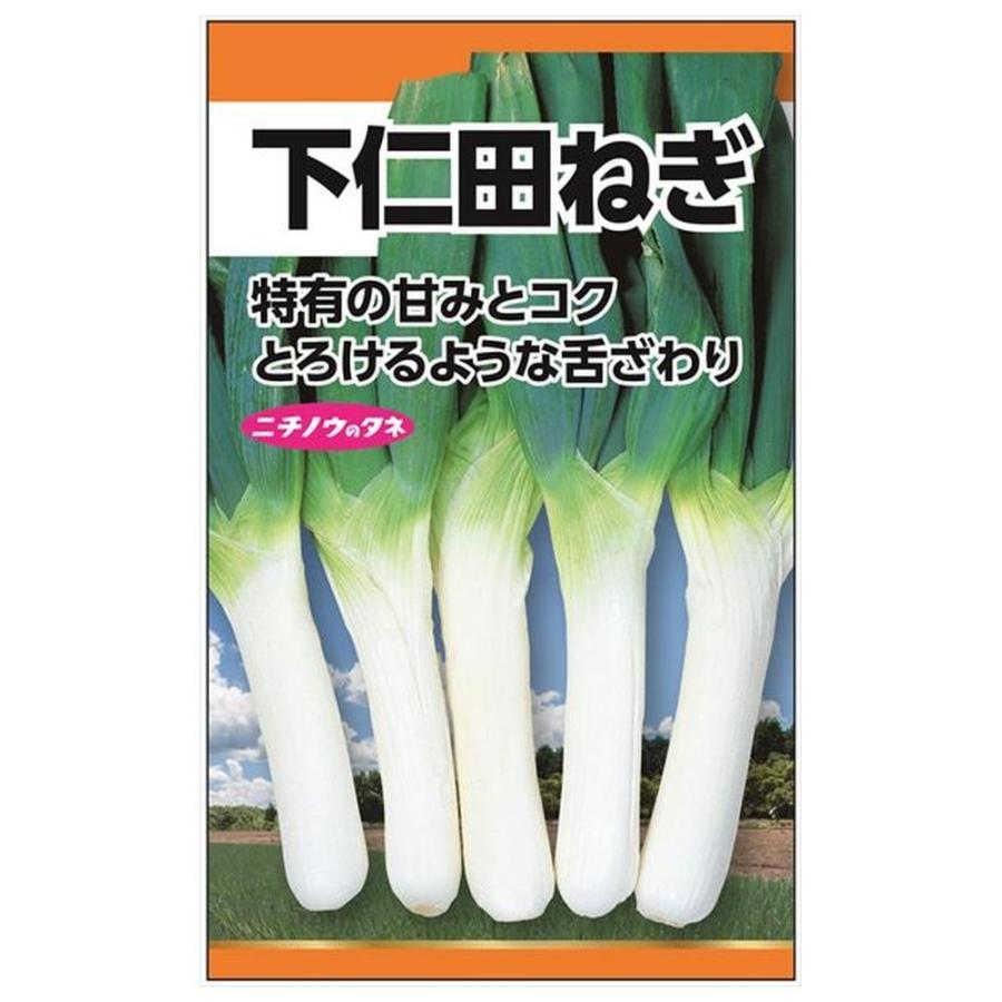 ねぎ 下仁田ねぎ 種・小袋 （5ml） 固定種 爆買いweek : 苗木部 花