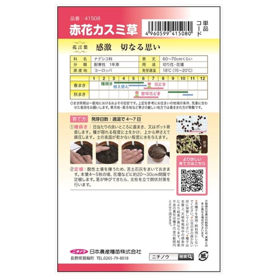 赤花かすみ草 種・小袋 （0.1ml） 固定種 爆買いweek : 苗木部 花